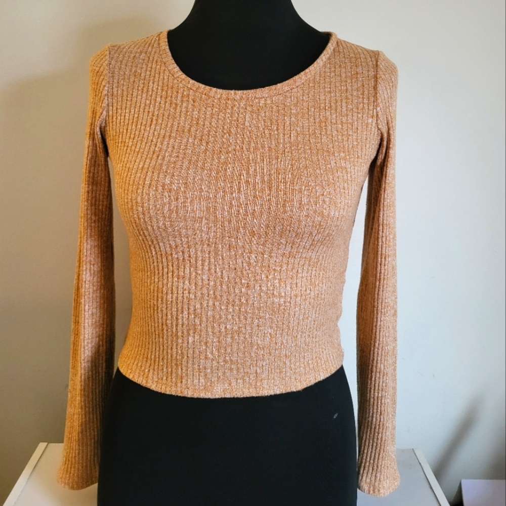 American Eagle Cropped Long Sleeve Shirt
